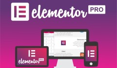 Elementor Pro SALE